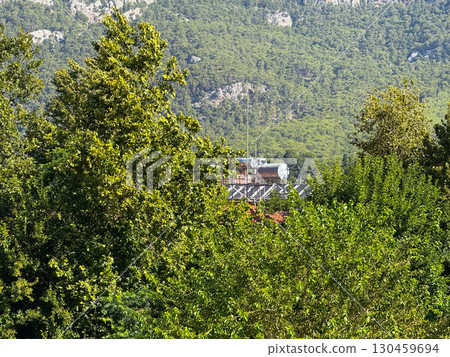 Green forest landscape with dense foliage and mountains in the background. Nature, environment, summer scenery, vegetation and outdoor wilderness ecosystem. 130459694