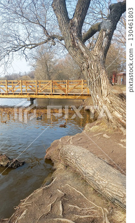 wooden bridge over the river and ducks 130461803