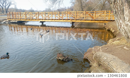 wooden bridge over the river and ducks 130461808
