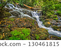 mountain stream flows over green stones in summer 130461815