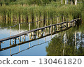 wooden pedestrian bridge over the river in summer 130461820