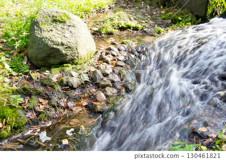 landscape with fast forest stream with stones in summer landscape with fast forest stream with stones in summer 130461821
