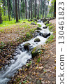 landscape with fast forest stream with stones in summer 130461823