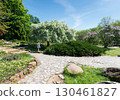 girl in a dress stands and looks at a flowering tree 130461827