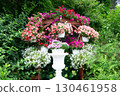 Beautiful flower arrangement of petunias in vases. Garden decoration, landscaping 130461958