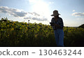 Female agronomist using digital tablet at sunflower meadow at sunny day. Adult farmer monitoring harvest at yellow flower field at sunset. Beautiful scenic landscape. Concept of agricultural business 130463244