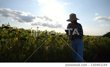 Female agronomist using digital tablet at sunflower meadow at sunny day. Adult farmer monitoring harvest at yellow flower field at sunset. Beautiful scenic landscape. Concept of agricultural business 130463244
