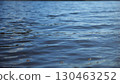 Close up view on lake with small waves at sunny day. Calm scenery of pond at summer season. Beautiful nature landscape. Concept of tranquility scene. Slow motion 130463252