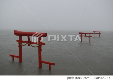Underwater Torii of Oo-Uo Shrine, Saga, Kyushu 130463283