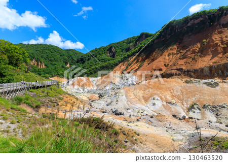 Jigokudani 130463520