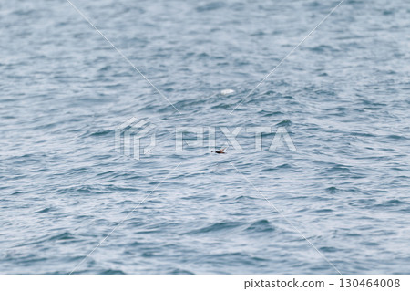 由燕尾提供動力 130464008