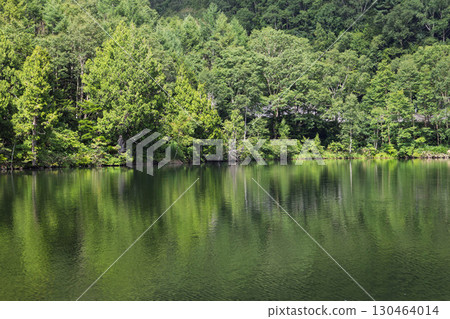 志賀高原Kido池塘在夏天 130464014