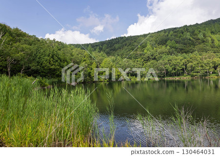 Shiga Kogen Kido Pond in the summer 130464031