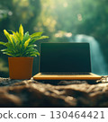 Laptop and plant on rock near waterfall, creating serene workspace 130464421
