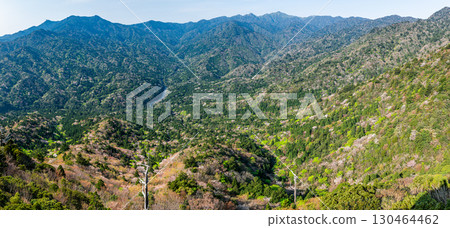 Panorama from Taiko Rock, Yakushima, offshore Alps (spring) 130464462