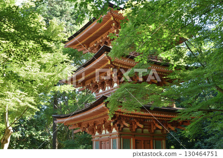 Joruriji Temple: Three-story pagoda surrounded by greenery [National Treasure] 130464751