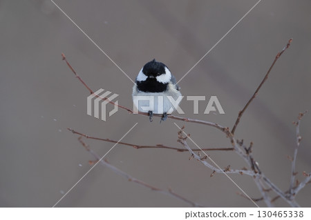 Front face of Higara Front face of Higara 130465338