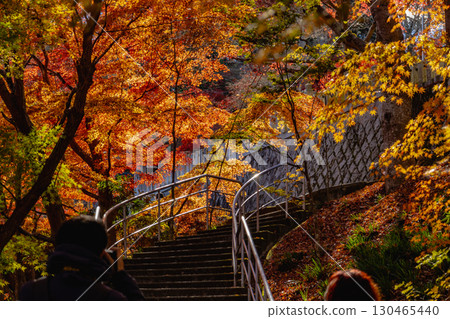 茨城縣紅葉寺 茨城縣紅葉寺 130465440