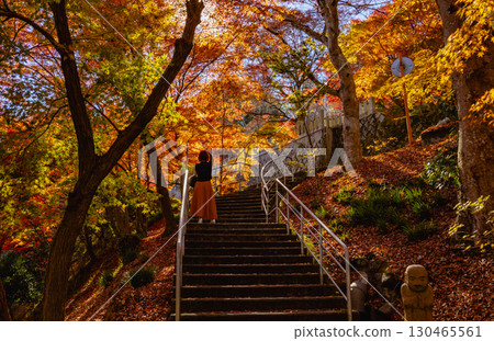 茨城縣紅葉寺 茨城縣紅葉寺 130465561
