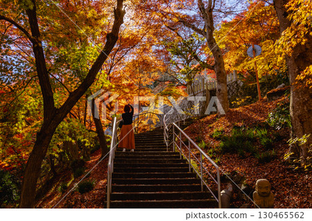 茨城縣紅葉寺 130465562