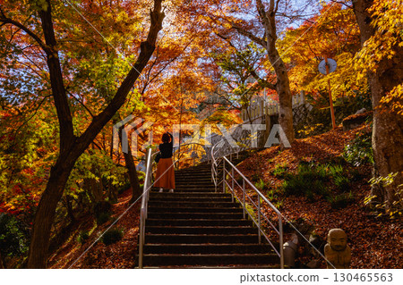 茨城縣紅葉寺 茨城縣紅葉寺 130465563