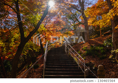Momiji Temple, Ibaraki Prefecture 130465564
