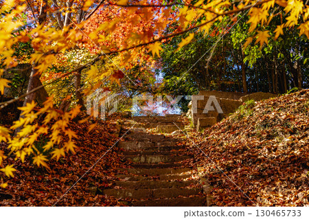 茨城縣紅葉寺 130465733