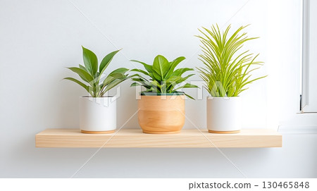 Modern Interior Display of Green Plants in Stylish Pots on Minimalist Wooden Shelf 130465848