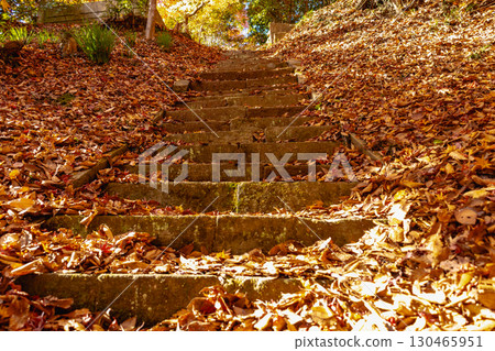 茨城縣紅葉寺 茨城縣紅葉寺 130465951