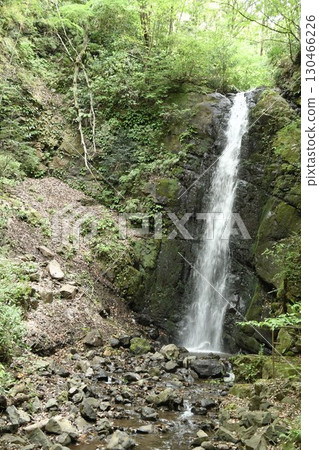 Yugawara Town, Shirakumo Falls 130466226