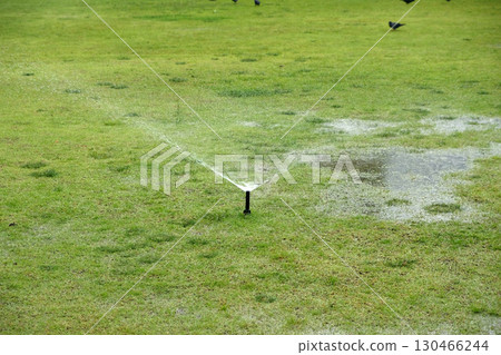 Water sprinkler turning and watering the grass field Water sprinkler turning and watering the grass field 130466244