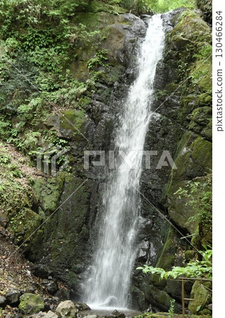 Yugawara Town, Shirakumo Falls Yugawara Town, Shirakumo Falls 130466284