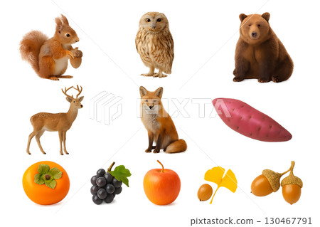Autumn animals and fruits realistic photo style transparent material set 130467791