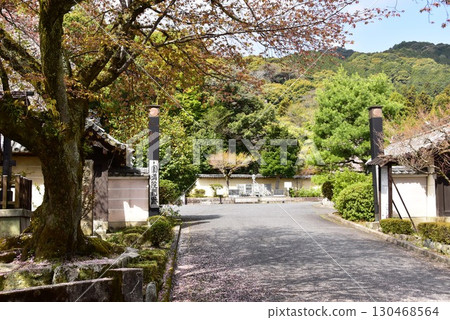 大津市三井寺院內的圓滿院 130468564