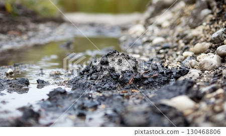 Mud and pebbles by the water's edge in a natural outdoor setting 130468806