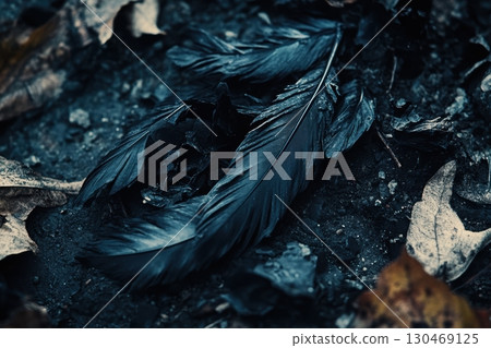 Black feather resting on charred ground surrounded by autumn leaves in a quiet forest Black feather resting on charred ground surrounded by autumn leaves in a quiet forest 130469125