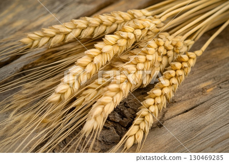 Wheat stalks arranged on a rustic wooden surface ideal for showcasing agricultural harvest and natural beauty 130469285
