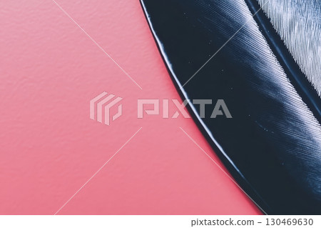 Close-up of a sleek black feather against a vibrant coral background Close-up of a sleek black feather against a vibrant coral background 130469630