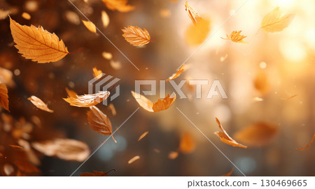 落葉飄落，陽光透過樹葉 130469665
