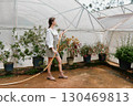 Young woman gardening in a greenhouse, wearing a casual outfit and boots, surrounded by blooming plants and flowers, embodying a nurturing and vibrant atmosphere 130469813