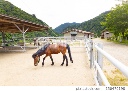 梅幌水壩馬術公園 Taishu Horse 梅幌水壩馬術公園 Taishu Horse 130470198