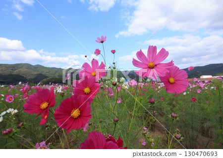 宇宙場 6331 130470693