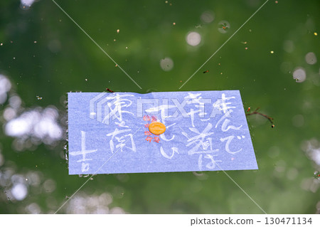 [#Shimane] Fortune telling at the edge of the mirror pond at Yaegaki Shrine 130471134