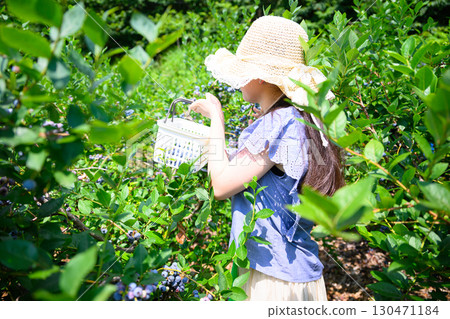 A girl in a straw hat enjoying blueberry picking at a farm A girl in a straw hat enjoying blueberry picking at a farm 130471184