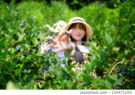 A girl in a straw hat enjoying blueberry picking at a farm A girl in a straw hat enjoying blueberry picking at a farm 130471204