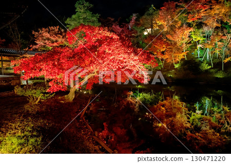 Kodai-ji garden with fall maple foliage light up at night, Kyoto Kodai-ji garden with fall maple foliage light up at night, Kyoto 130471220
