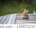 Rabbit door statue decor at wooden bridge by pond 130471233
