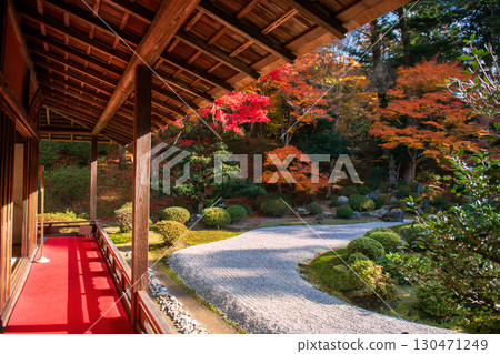 Manshuin temple terrace by rock garden with autumn maple leaf, Kyoto 130471249