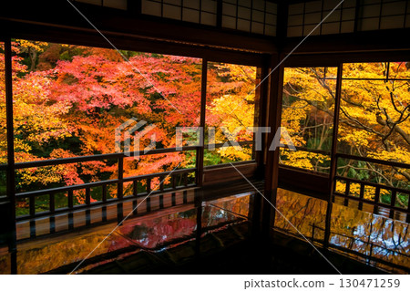 Kyoto Rurikoin temple upper floor architect with colorful autumn leaf Kyoto Rurikoin temple upper floor architect with colorful autumn leaf 130471259