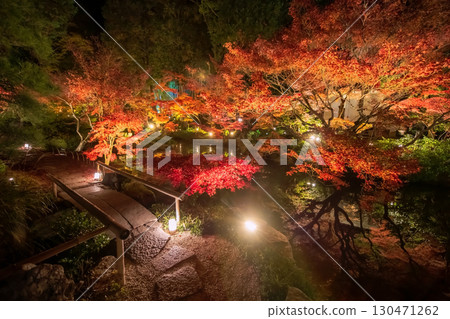 Kurodani route with stunning autumn leaf light up, Kyoto Kurodani route with stunning autumn leaf light up, Kyoto 130471262
